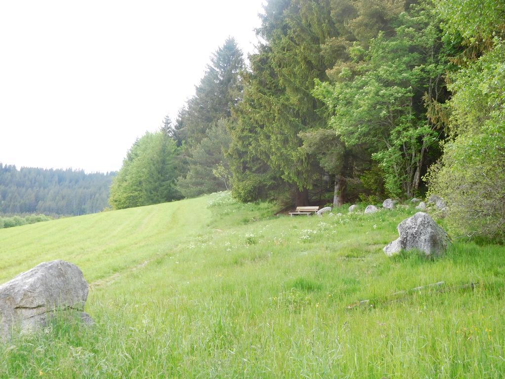 Apartment Schluchsee Eksteriør billede