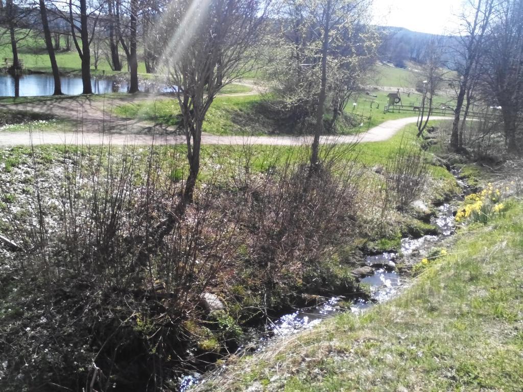 Apartment Schluchsee Eksteriør billede